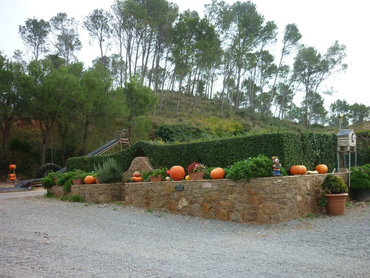 Mas Puig Roig Apartment Llavia ภายนอก รูปภาพ